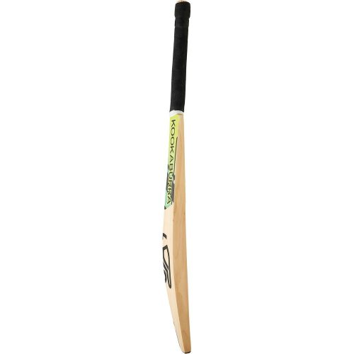 2B11262 KookaburraRapidPro8.1JuniorKashmirBat 4