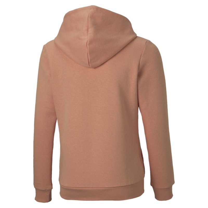 587031 28 PumaEssentialsLogoGirls FleeceHoodie 1