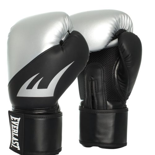 Silver Everlast Ex Boxing Glove | SportsPower