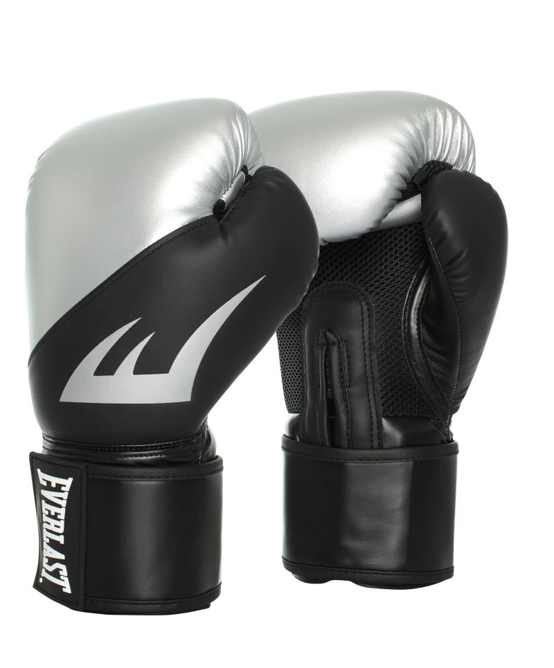 Silver Everlast Ex Boxing Glove | SportsPower